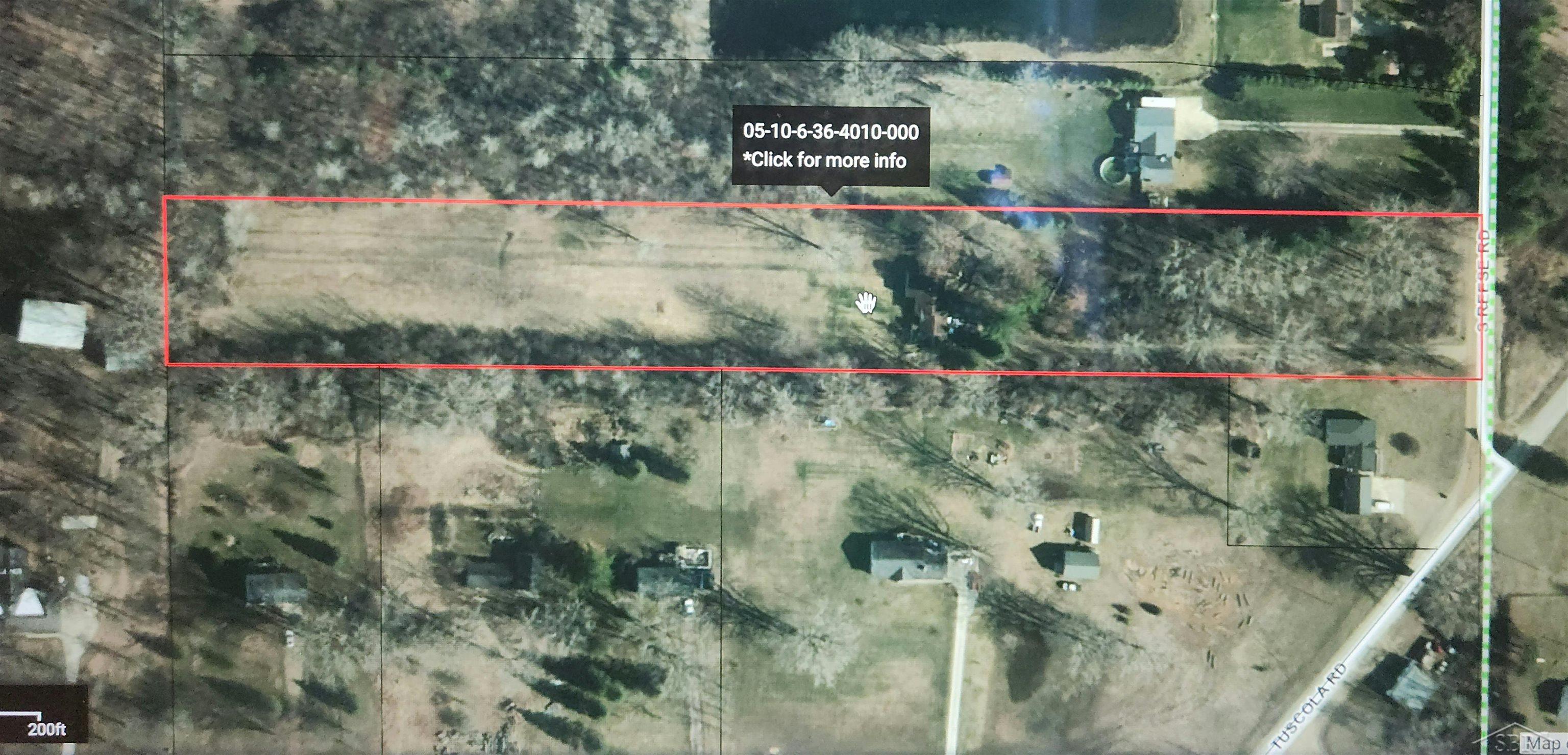 10462 South Reese Road Birch Run, MI 48415 - Photo 29 of 33