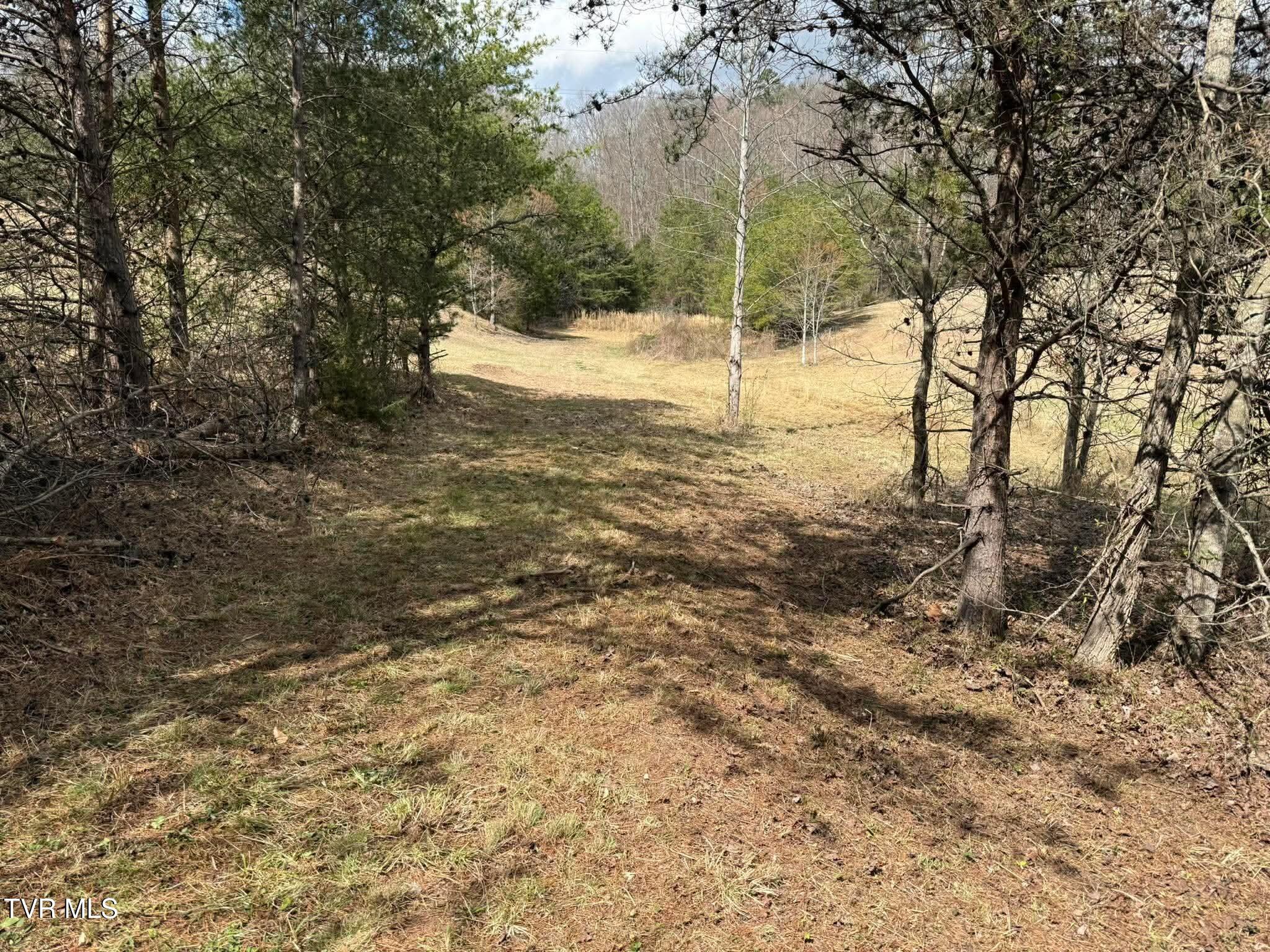 0 Dyer Hollow Road, Unit 3 Mohawk, TN 37810 - Photo 4 of 11 6fa6bb65fd6ae0ce3dd33d65528335c5