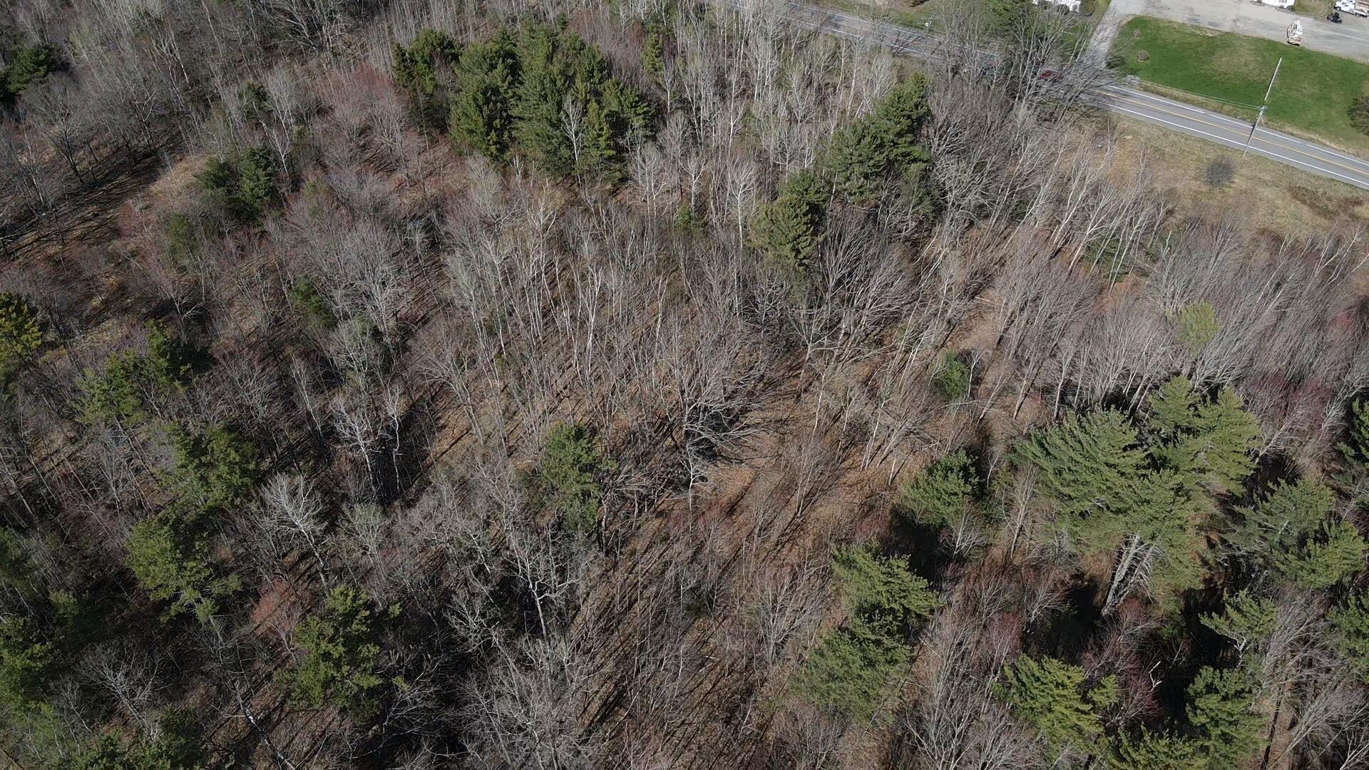 5 Finson Road Bangor, ME 04401 - Photo 13 of 20 2025-05-01-16-06-45-863