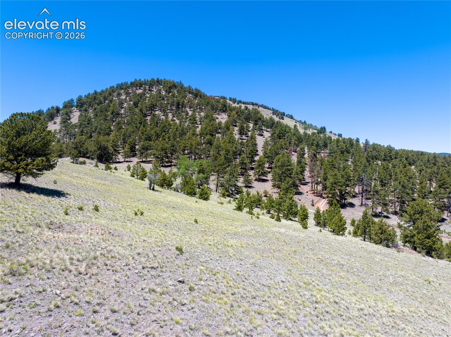 102 County Road Guffey, CO 80820 - Photo 5 of 25 Gallery Image 5