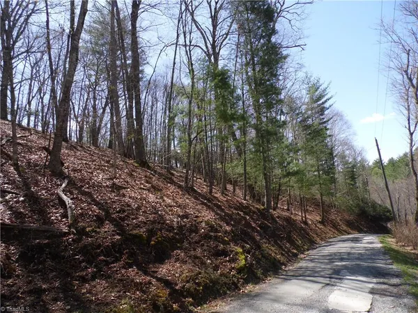 $27,500 | 31-32 Happy Ridge Road, Grassy Creek, NC 28631