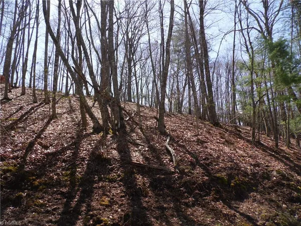 $27,500 | 31-32 Happy Ridge Road, Grassy Creek, NC 28631