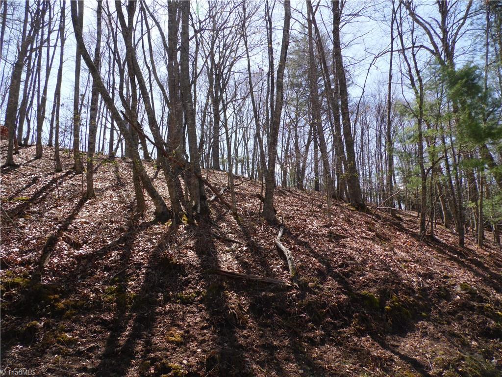31-32 Happy Ridge Road Grassy Creek, NC 28631 - Photo 13 of 14