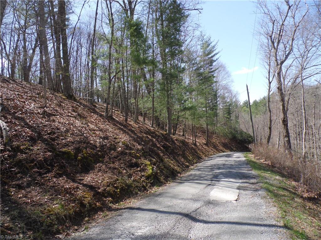 31-32 Happy Ridge Road Grassy Creek, NC 28631 - Photo 14 of 14