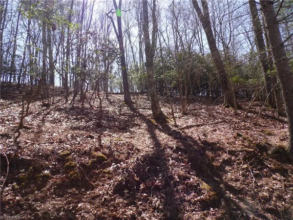 $27,500 | 31-32 Happy Ridge Road, Grassy Creek, NC 28631