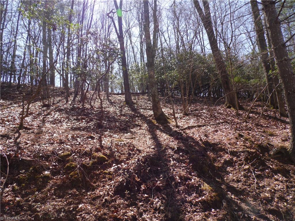 31-32 Happy Ridge Road Grassy Creek, NC 28631 - Photo 3 of 14