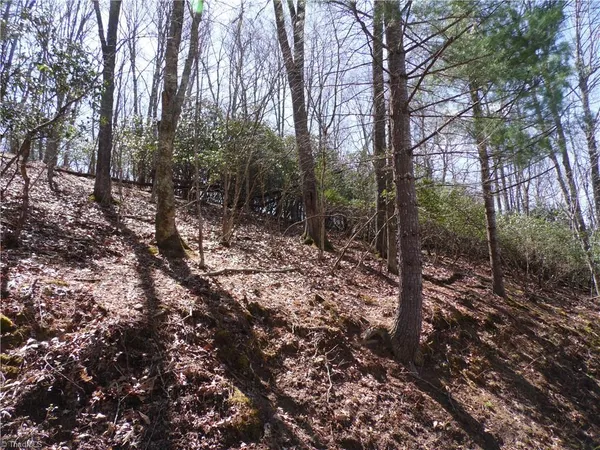 $27,500 | 31-32 Happy Ridge Road, Grassy Creek, NC 28631