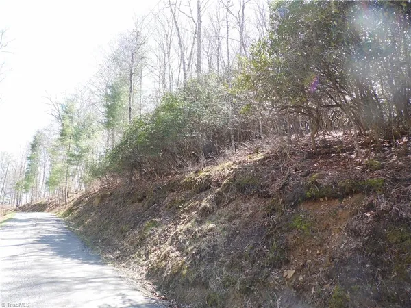 $27,500 | 31-32 Happy Ridge Road, Grassy Creek, NC 28631