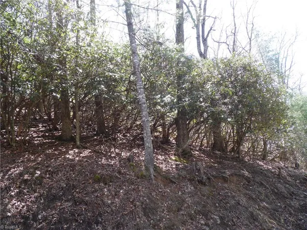 $27,500 | 31-32 Happy Ridge Road, Grassy Creek, NC 28631