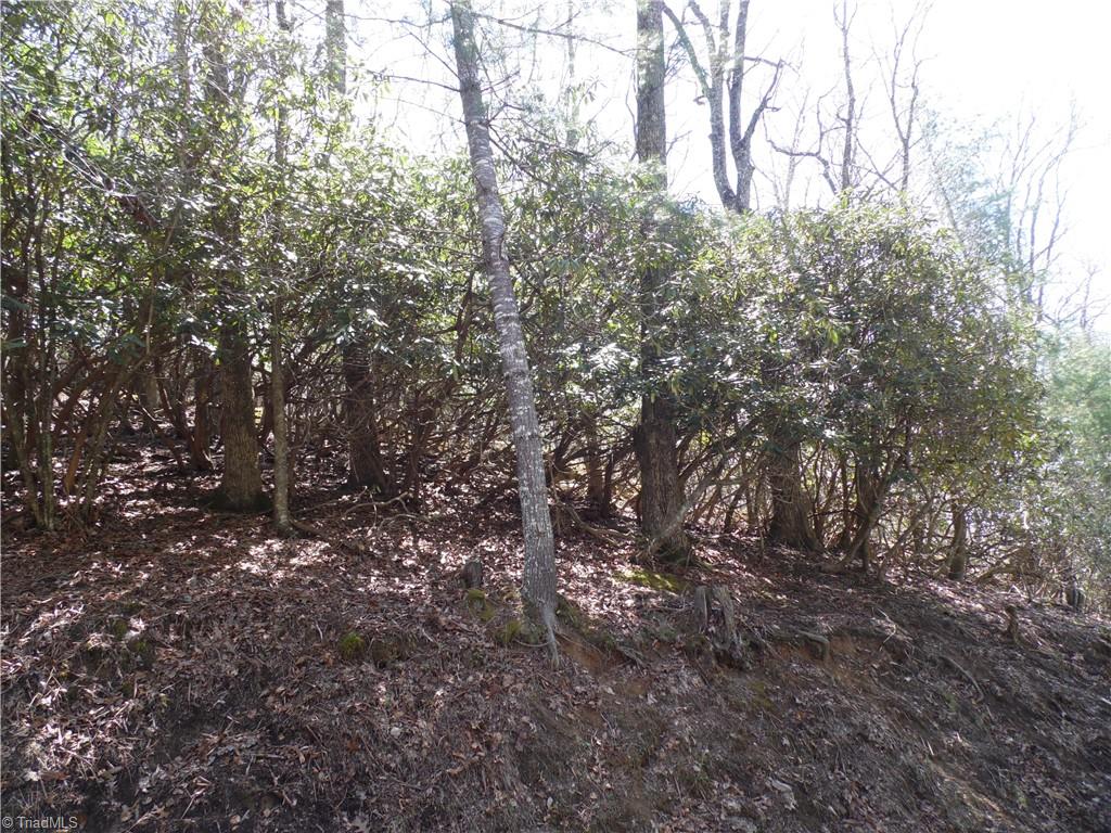 31-32 Happy Ridge Road Grassy Creek, NC 28631 - Photo 7 of 14