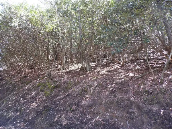 $27,500 | 31-32 Happy Ridge Road, Grassy Creek, NC 28631