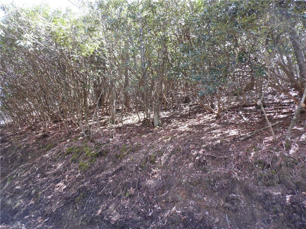 31-32 Happy Ridge Road Grassy Creek, NC 28631 - Photo 8 of 14