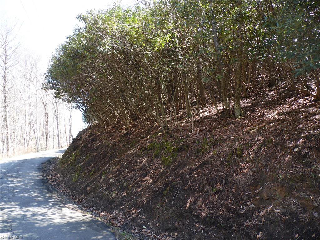 31-32 Happy Ridge Road Grassy Creek, NC 28631 - Photo 9 of 14