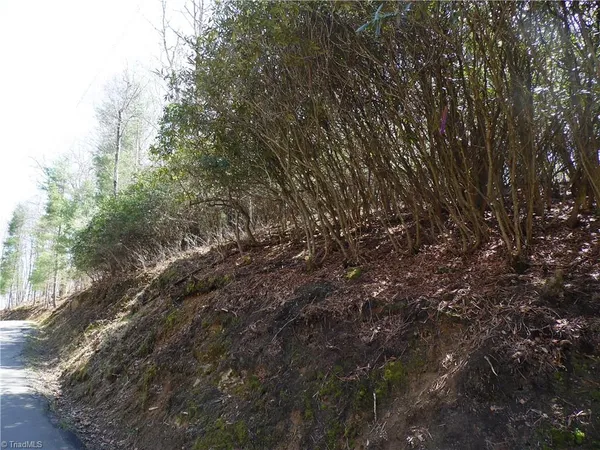 $27,500 | 31-32 Happy Ridge Road, Grassy Creek, NC 28631