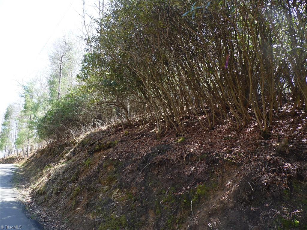 31-32 Happy Ridge Road Grassy Creek, NC 28631 - Photo 10 of 14