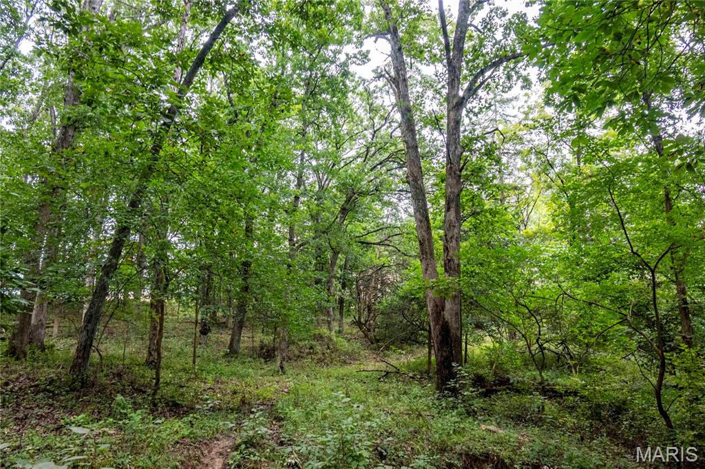 0 293 County Road Kahoka, MO 63445 - Photo 5 of 65 Gallery Image 5