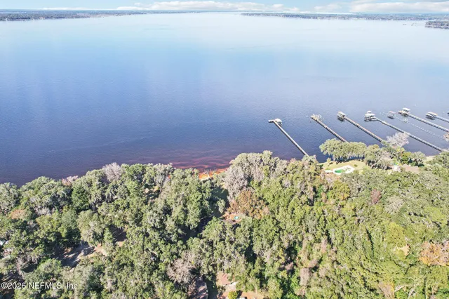 a close up of a plant
