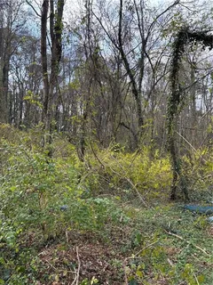 a view of a yard with plants and trees