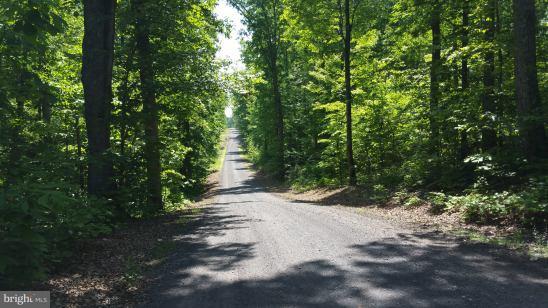 Spring Hollow Lane Rixeyville, VA 22737 - Photo 1 of 1 Interior (General)