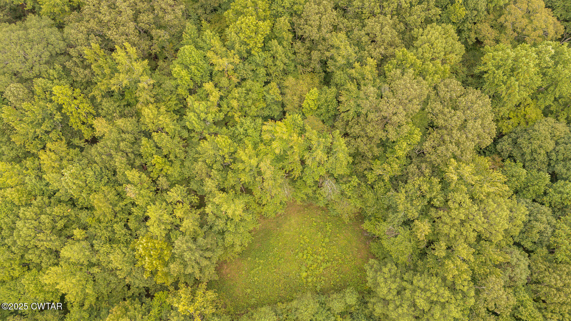 3554 Shades Bridge Road Greenfield, TN 38230 - Photo 45 of 49 a view of a small yard