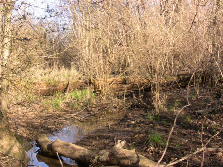 329 Hawkins - Cummins Road Paris, KY 40361 - Photo 7 of 10 Photo 7
