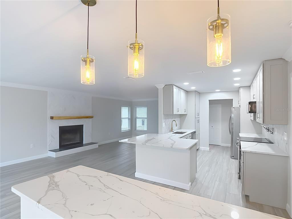 4536 Mitcher Road New Port Richey, FL 34652 - Photo 27 of 46 a view of a kitchen with furniture and a fireplace