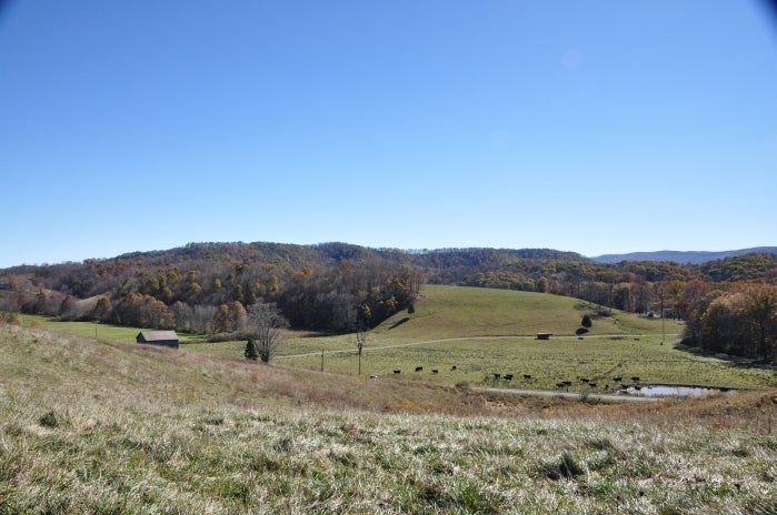 101 Grassy Meadows Road Alderson, WV 24910 - Photo 21 of 40 Grassy Meadows Farm - Tour 09