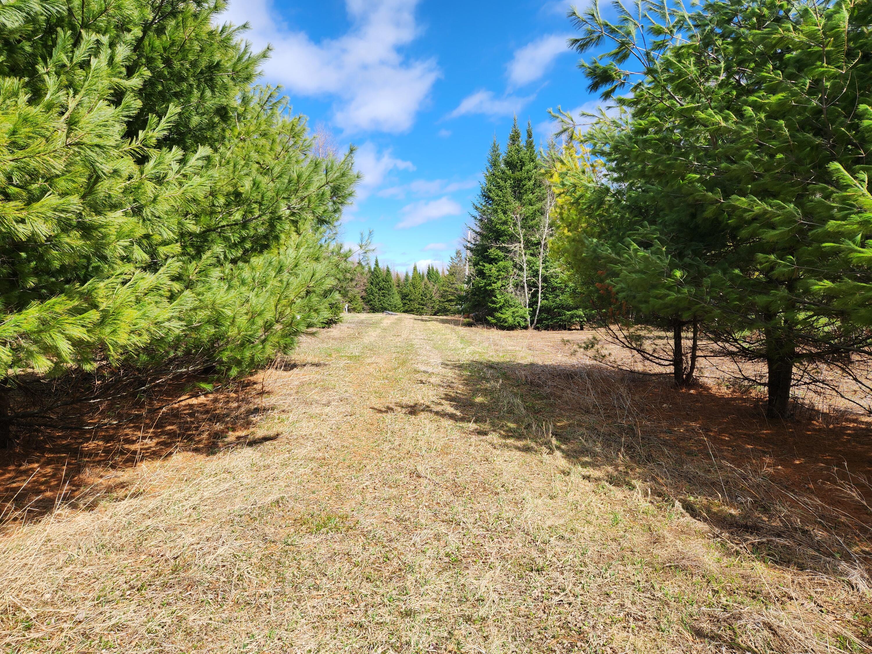 9 West C W Gate Road Caribou, ME 04736 - Photo 3 of 9 2025-04-30 14.41.11