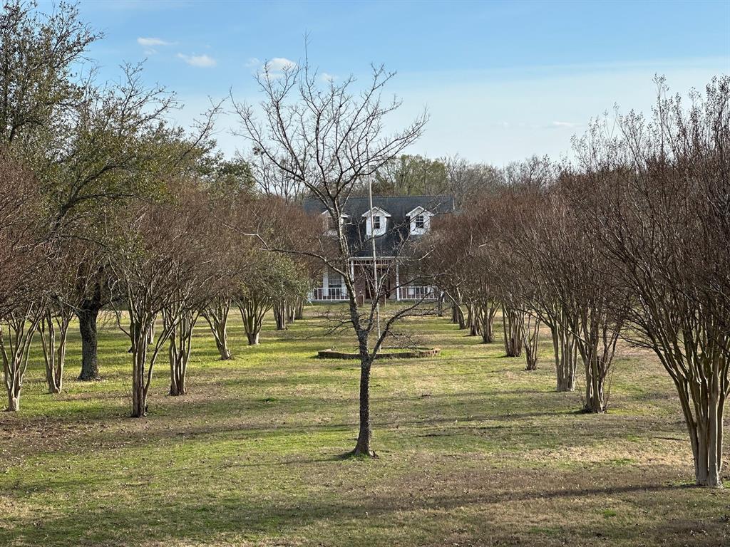 8099 Interstate 30 Frontage Road Cumby, TX 75433 - Photo 15 of 19 a view of a yard with trees