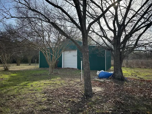 a view of a yard with a tree