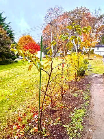 a view of a indoor swimming pool