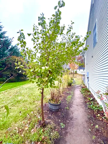 a backyard of a house with yard and outdoor seating