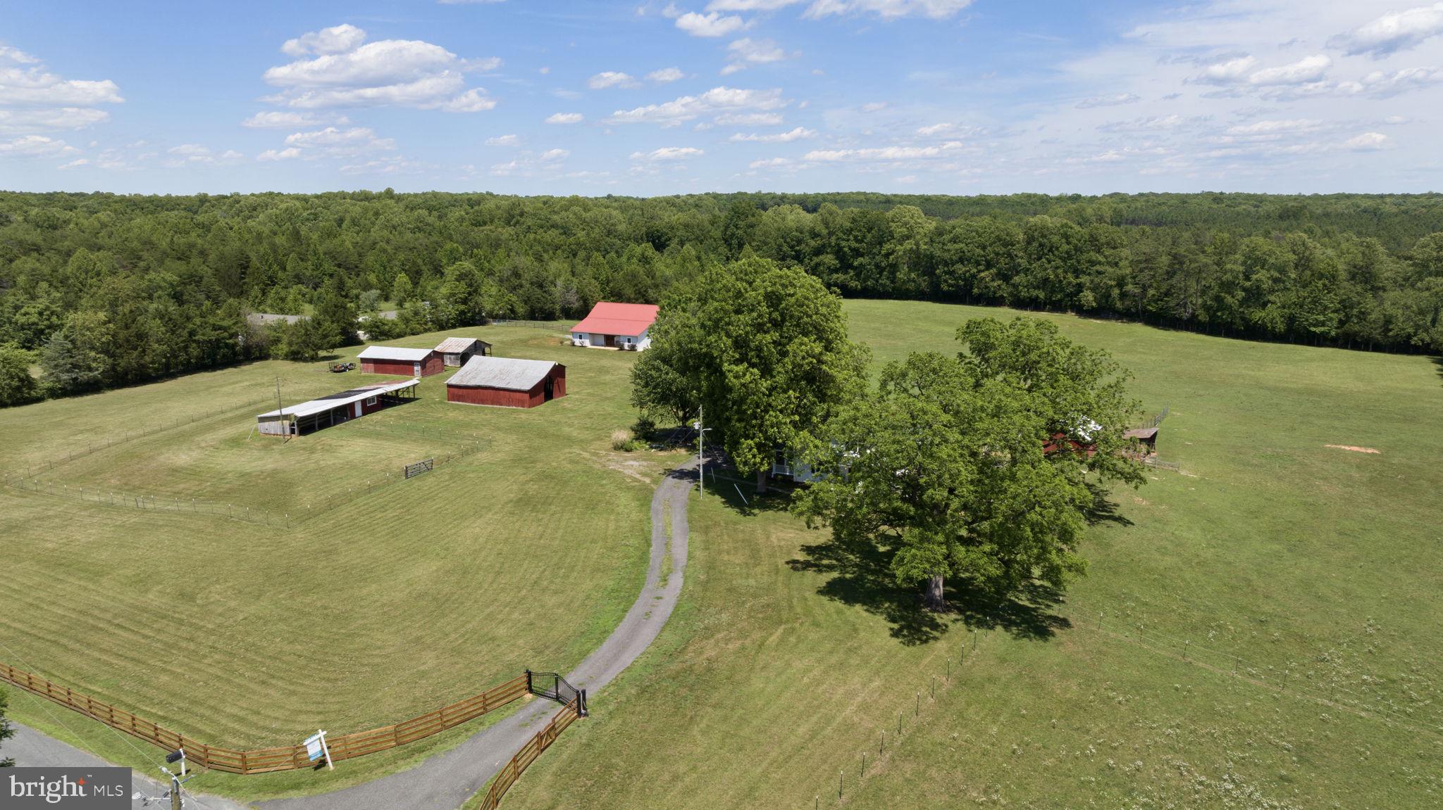 1815 Country Road Beaverdam, VA 23015 - Photo 9 of 104 Gated driveway