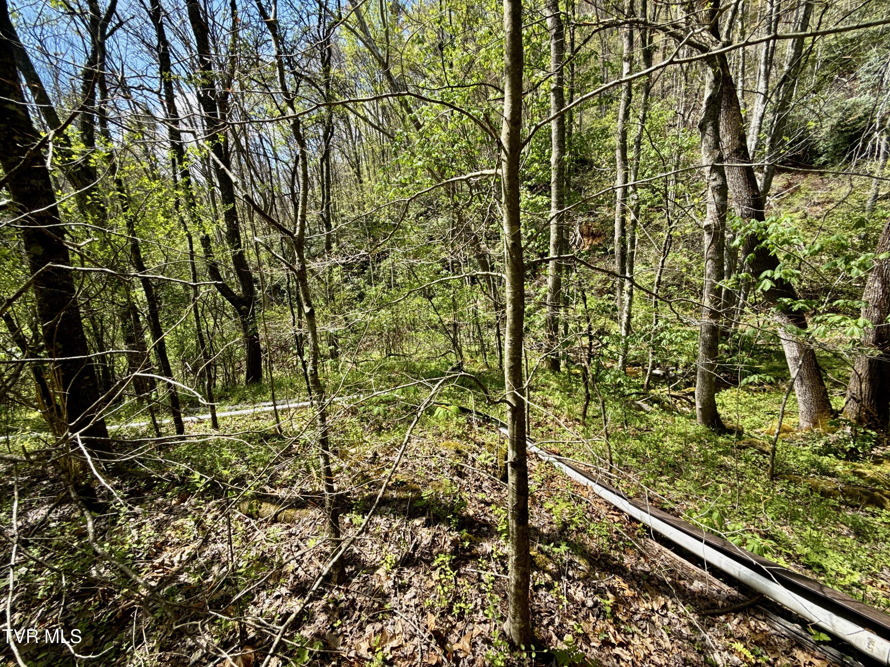 41-ac Roan Creek Road, Unit 2 Butler, TN 37640 - Photo 33 of 44 _Pic33jpg