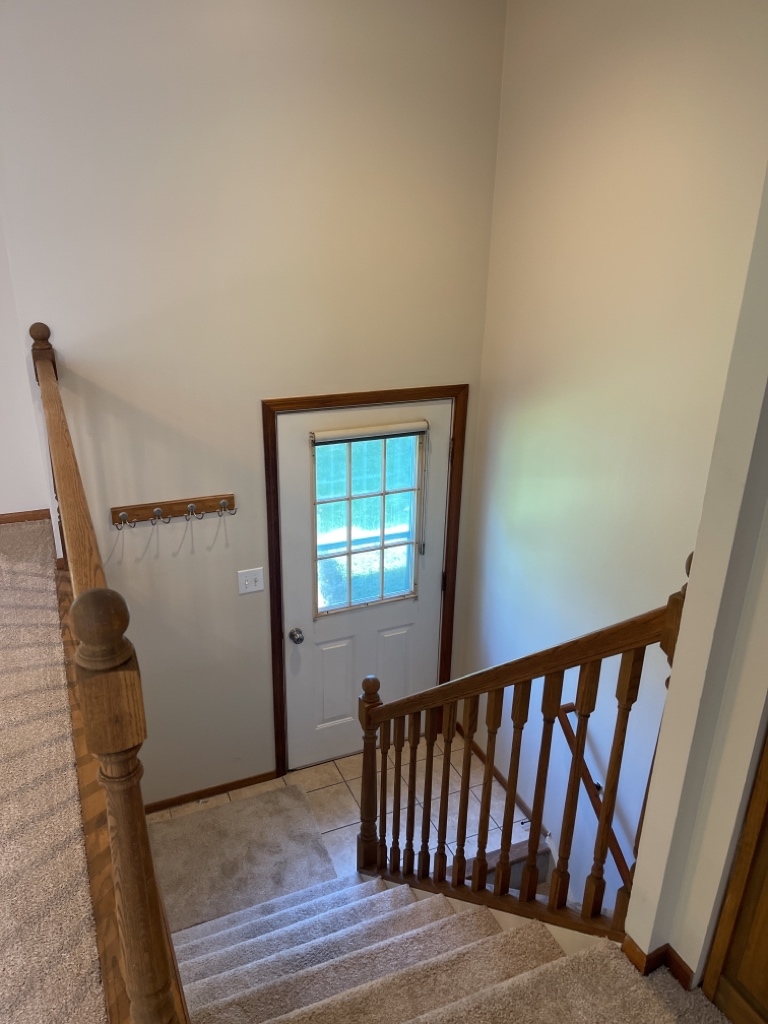 352 College Street Crystal Lake, IL 60014 - Photo 4 of 20