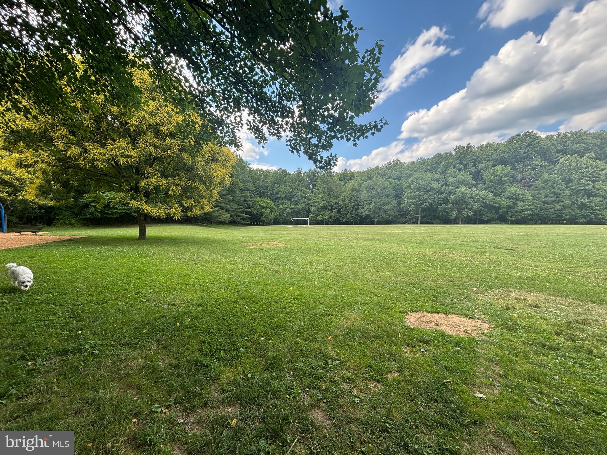 2 Hugo Court Silver Spring, MD 20906 - Photo 54 of 64 Gallery Image 54