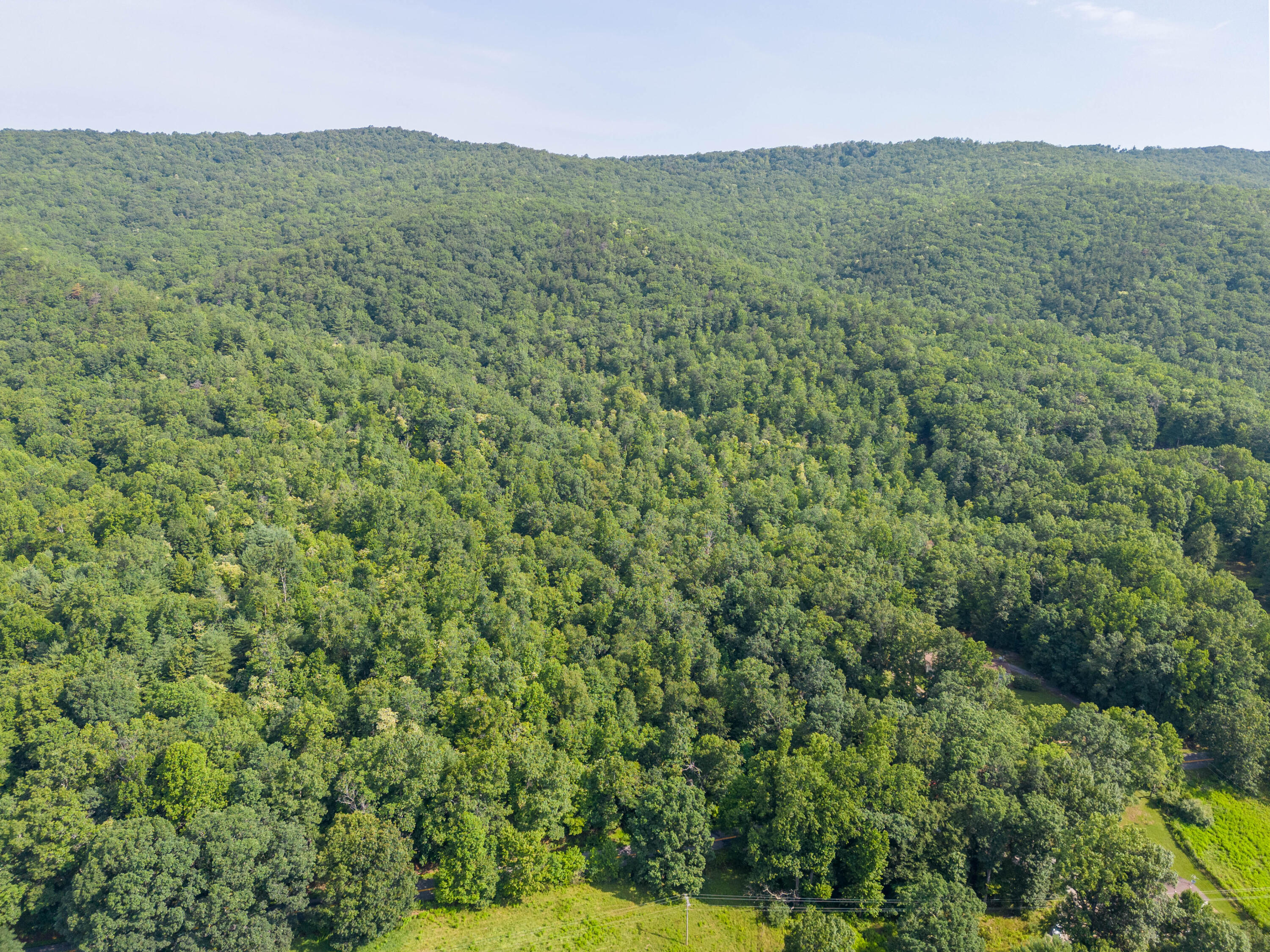 0 Mt Tabor Road Blacksburg, VA 24060 - Photo 11 of 12 blacksburg-87