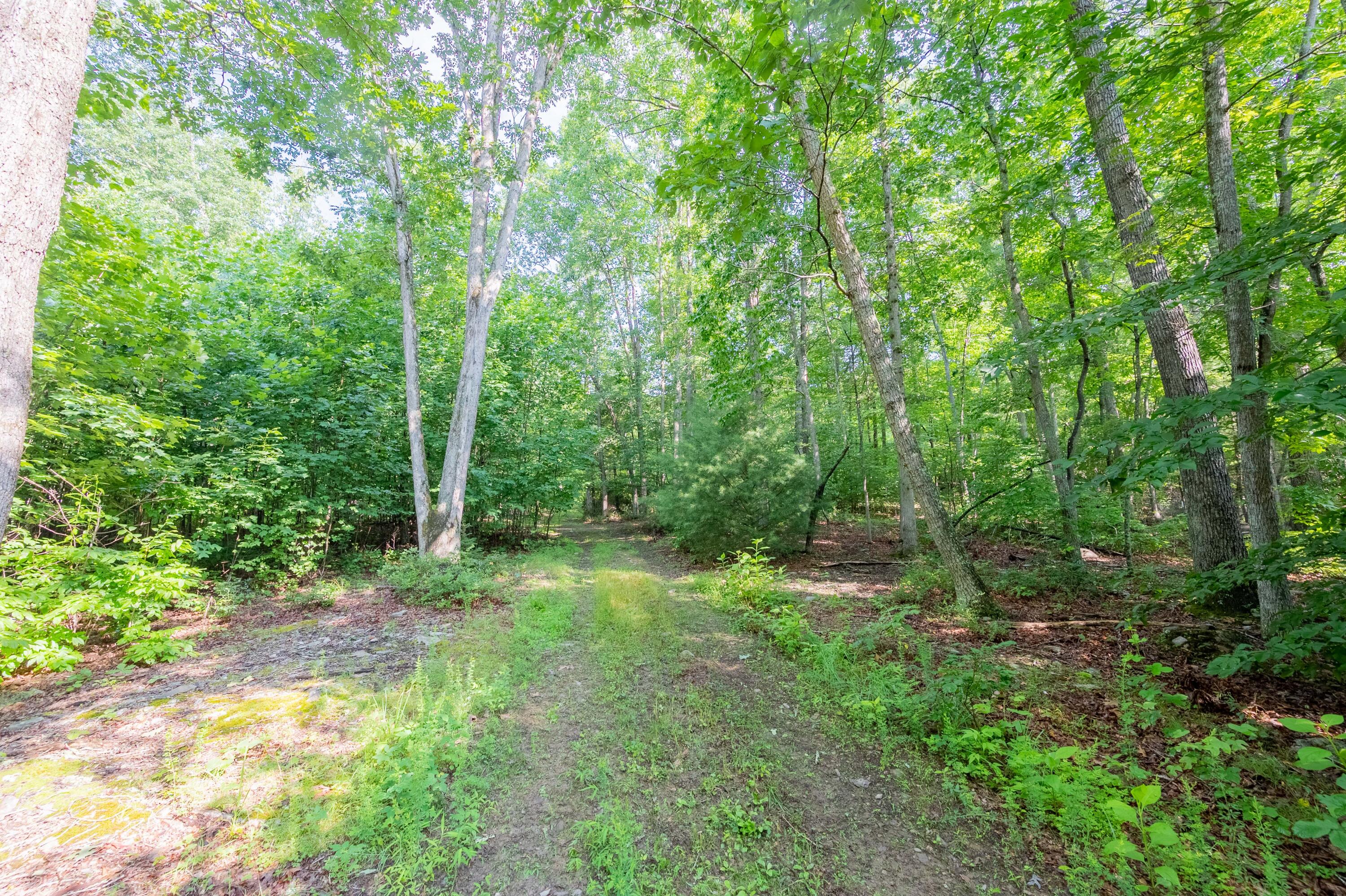 0 Mt Tabor Road Blacksburg, VA 24060 - Photo 2 of 12 blacksburg-77