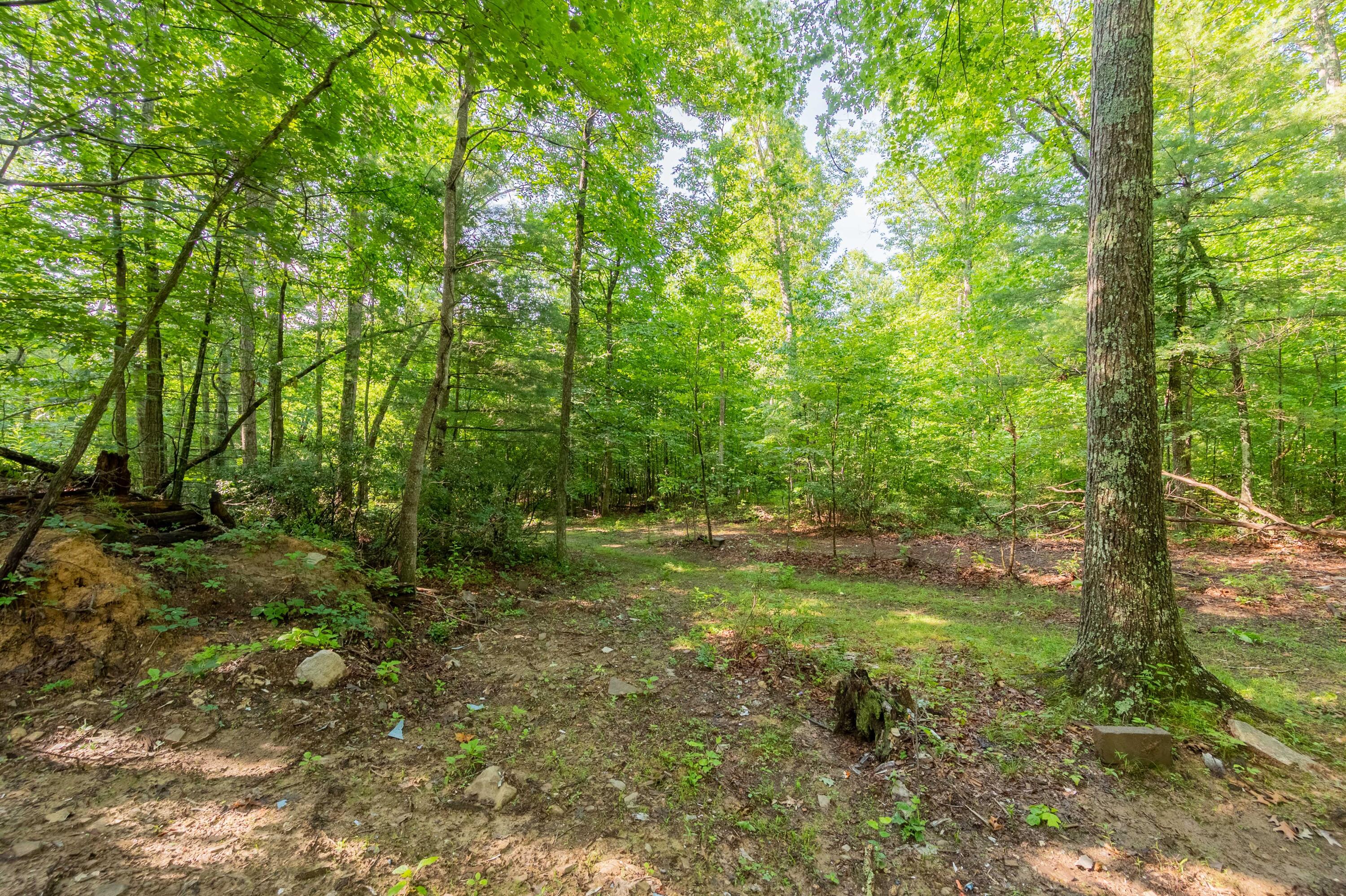 0 Mt Tabor Road Blacksburg, VA 24060 - Photo 3 of 12 blacksburg-69