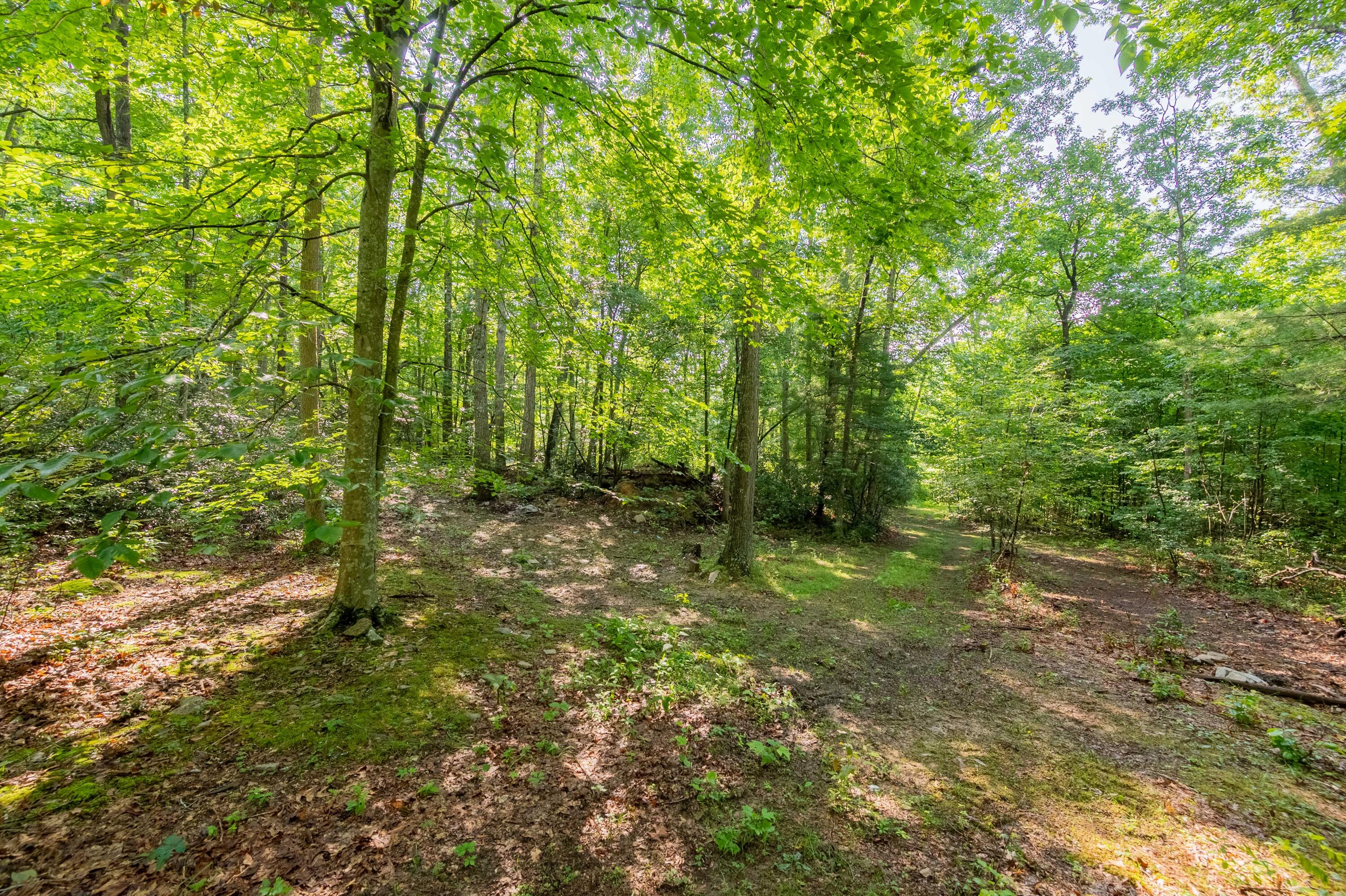 0 Mt Tabor Road Blacksburg, VA 24060 - Photo 4 of 12 blacksburg-70