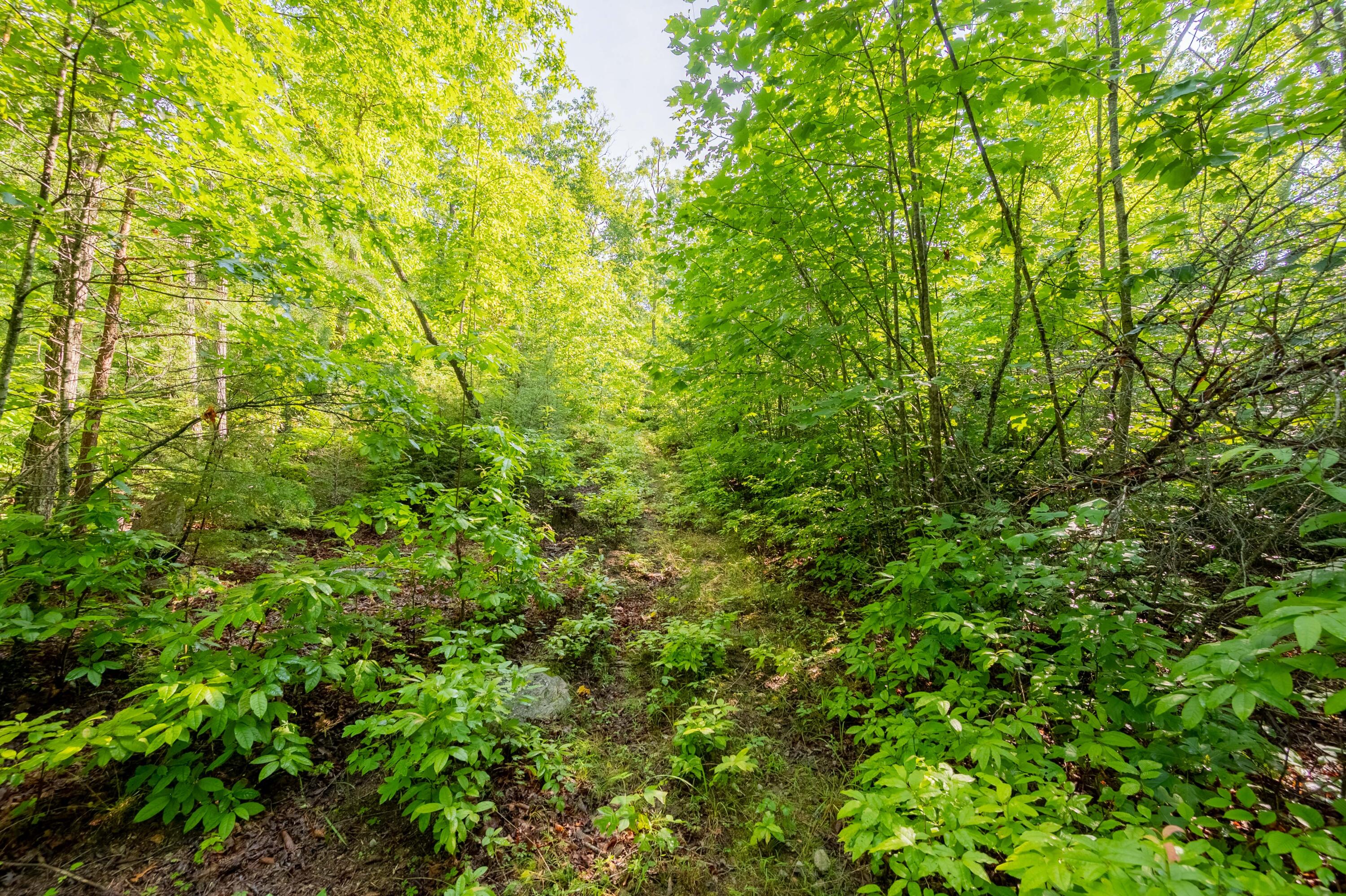 0 Mt Tabor Road Blacksburg, VA 24060 - Photo 5 of 12 blacksburg-71