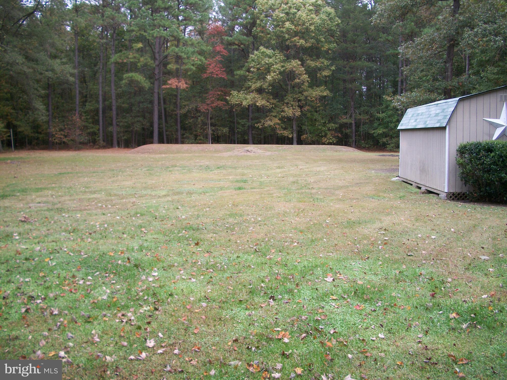 22973 Neptune Road Milton, DE 19968 - Photo 15 of 40 Gallery Image 15