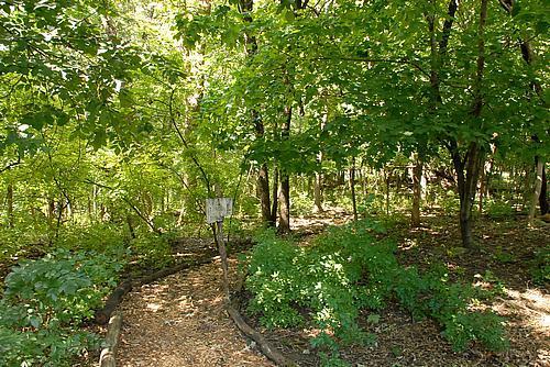 664 Itasca Court Northwest Rochester, MN 55901 - Photo 31 of 32 Gallery Image 31