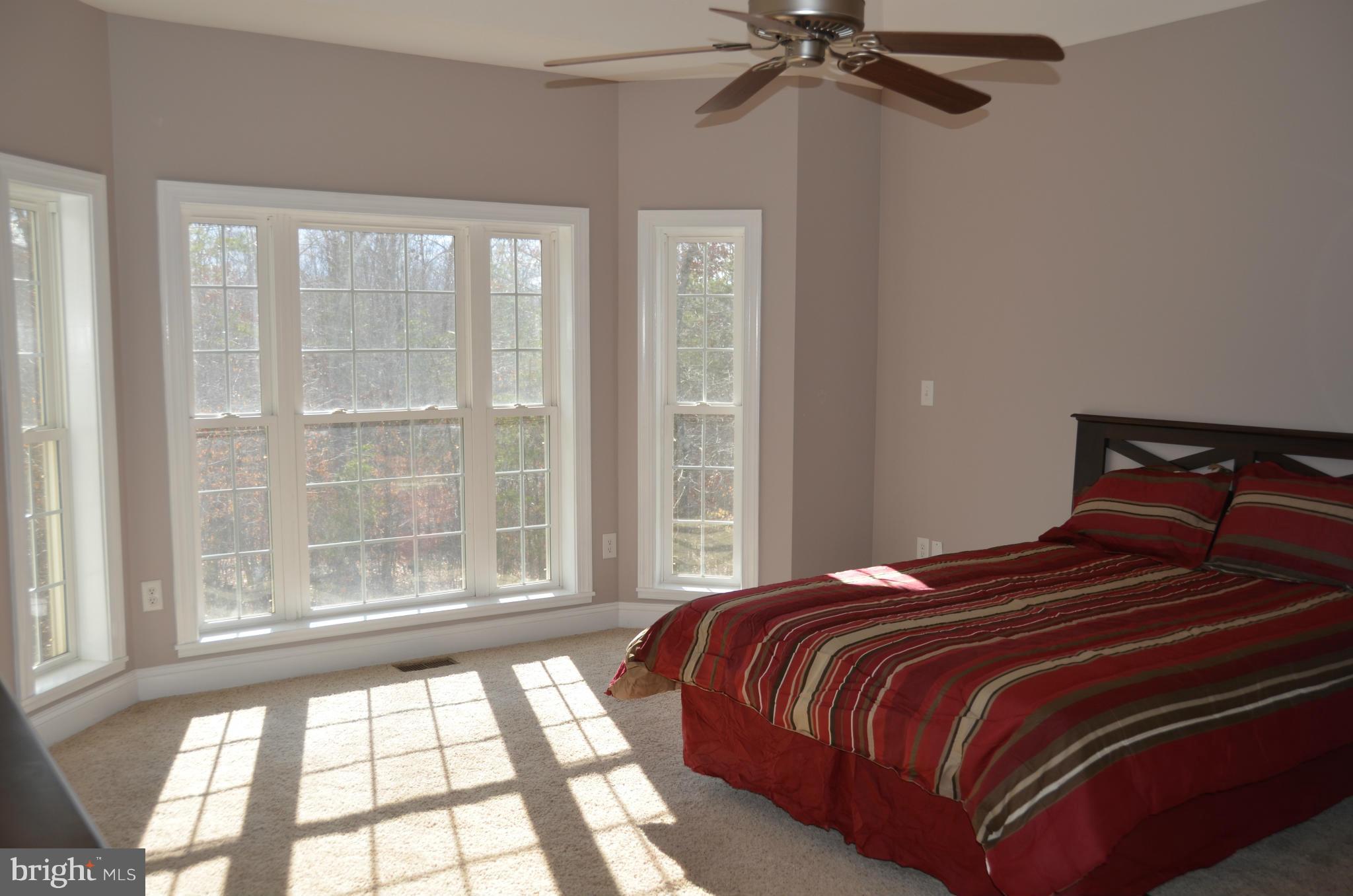 22322 Dragoon Road Lignum, VA 22726 - Photo 12 of 28 MAIN LEVEL MASTER WITH TRAY CEILINGS