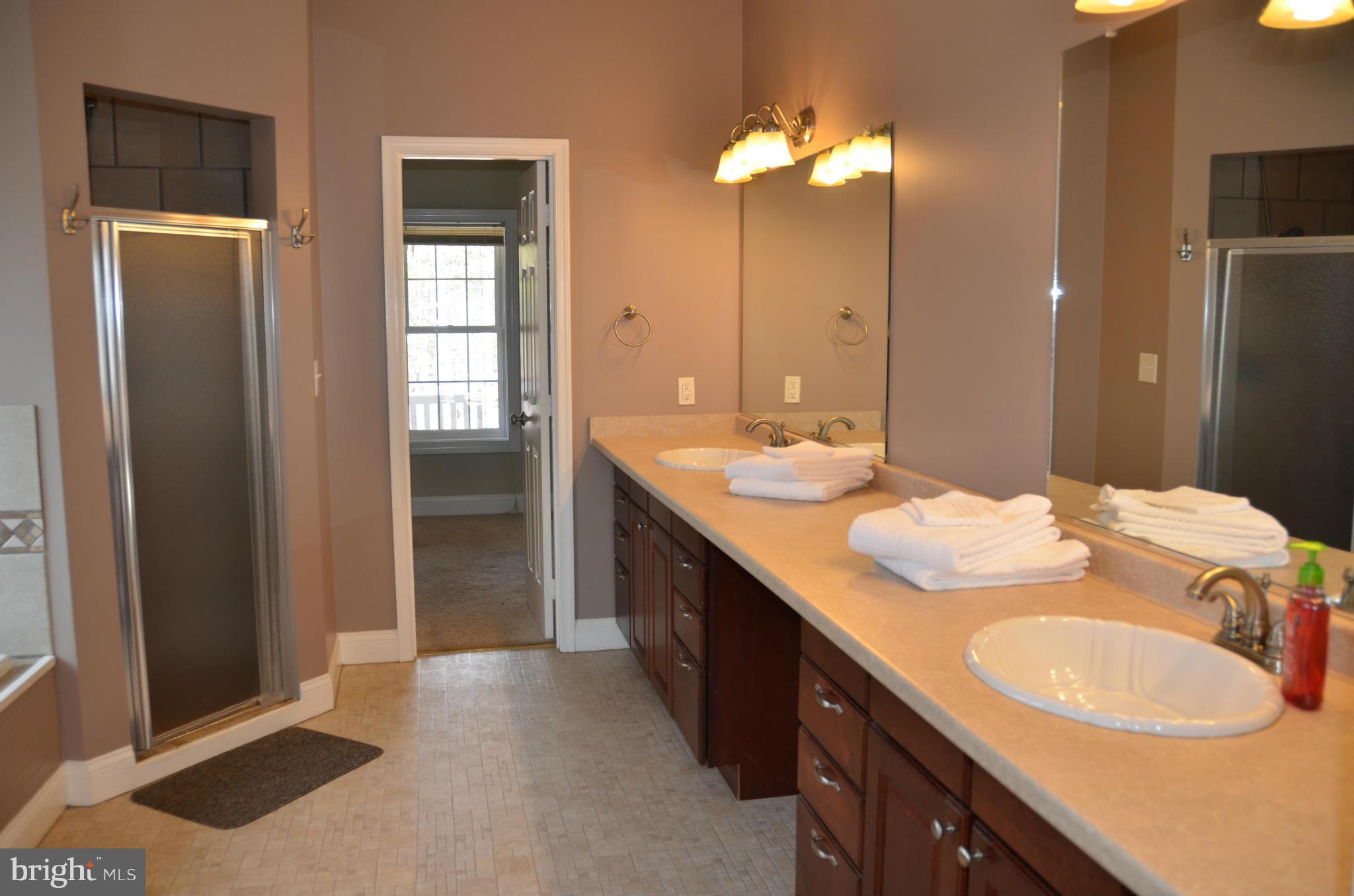 22322 Dragoon Road Lignum, VA 22726 - Photo 13 of 28 LUXURY MASTER BATHROOM