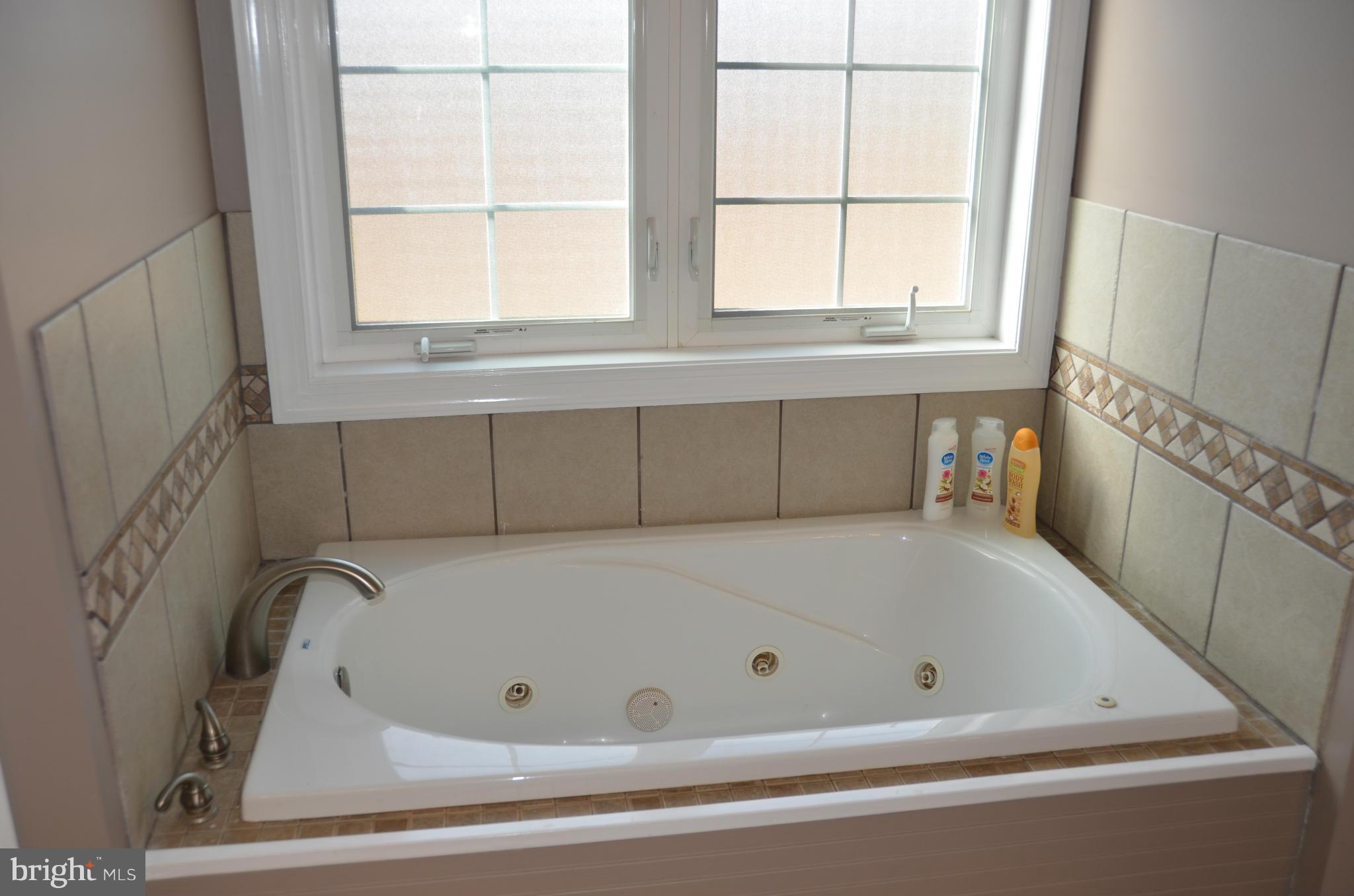 22322 Dragoon Road Lignum, VA 22726 - Photo 14 of 28 MASTER JETTED TUB