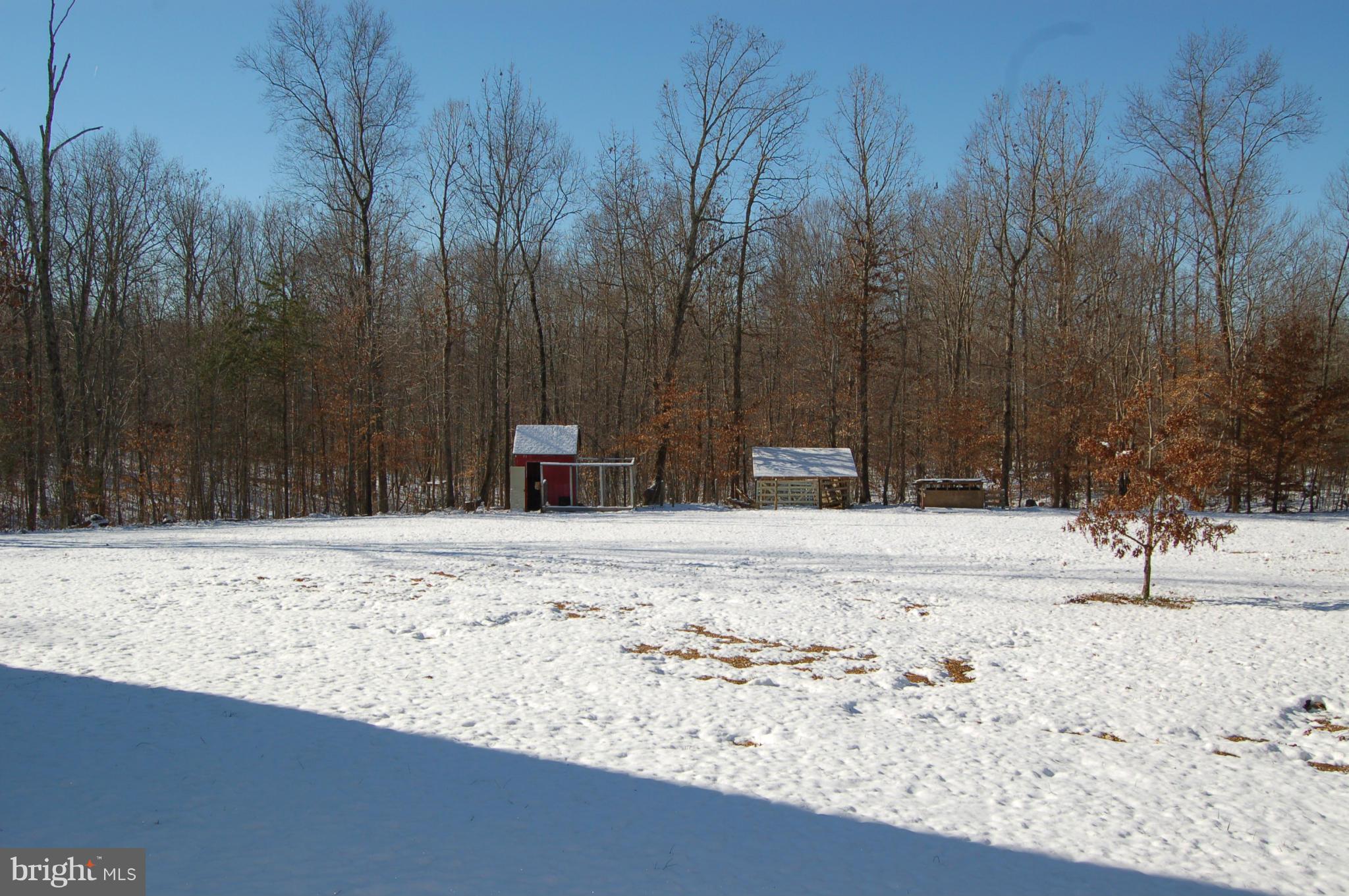 22322 Dragoon Road Lignum, VA 22726 - Photo 28 of 28 BACKYARD WITH SHEDS OVER 5 ACRES