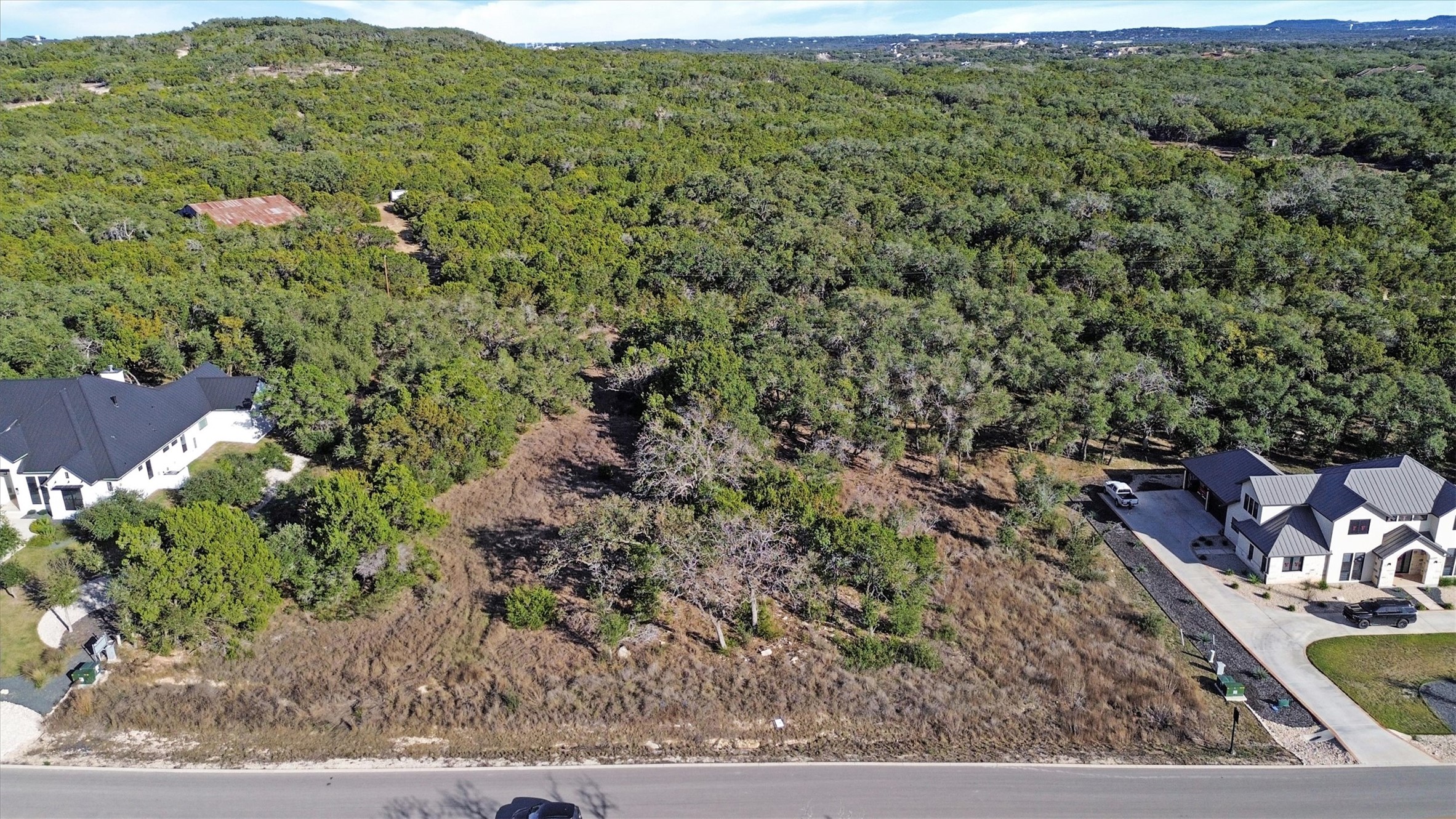 a view of a forest with a street