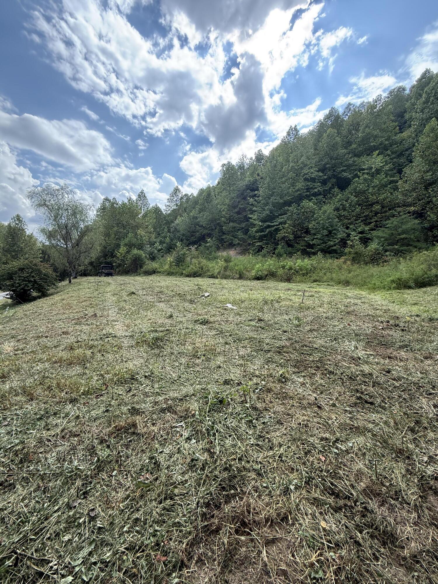 339 Old Hammond Post Rd Flat Flat Lick, KY 40935 - Photo 11 of 14 IMG_3459