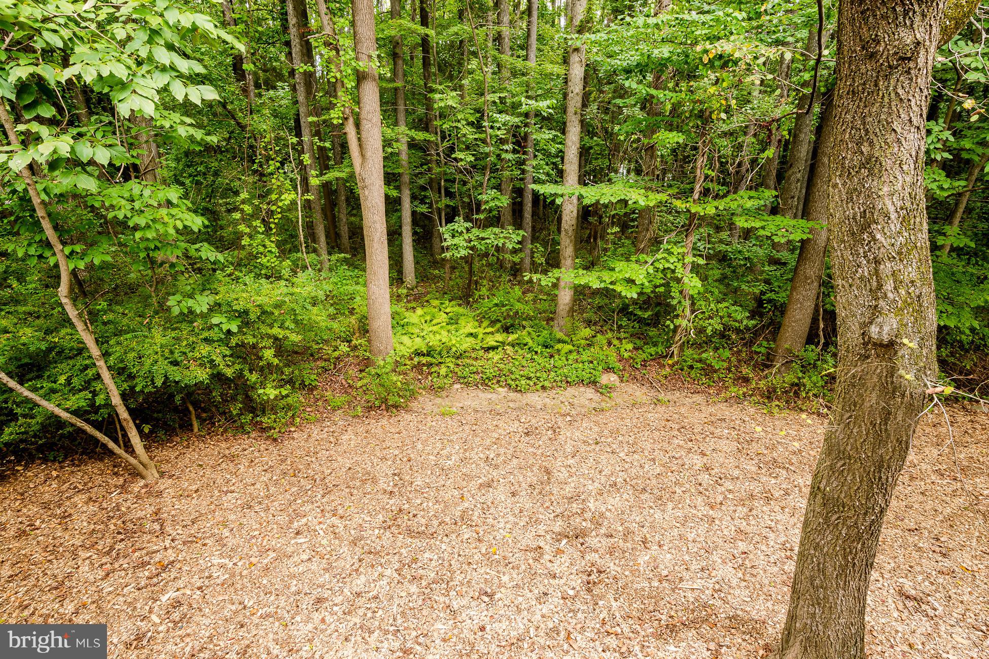 31 McComb Road Princeton, NJ 08540 - Photo 24 of 25 Back yard.